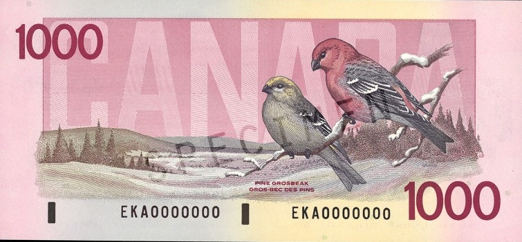 $1000 — back (The Birds of Canada Series)